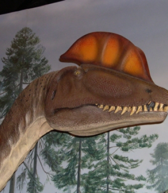 Dinosaur State Park
